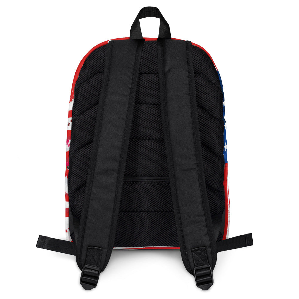 EFC USA Backpack
